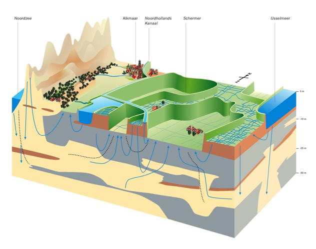 Grondwater polder