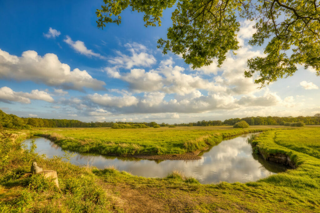 De Watertransitie Wat Is Het