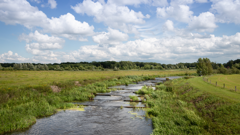 Vispassage in Overijssel