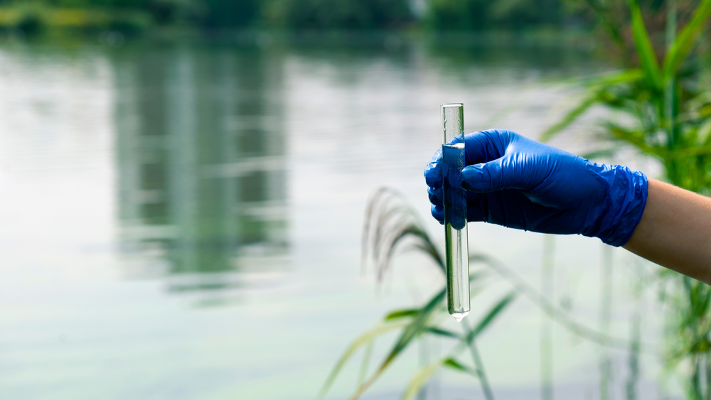 Waterkwaliteit van het oppervlaktewater