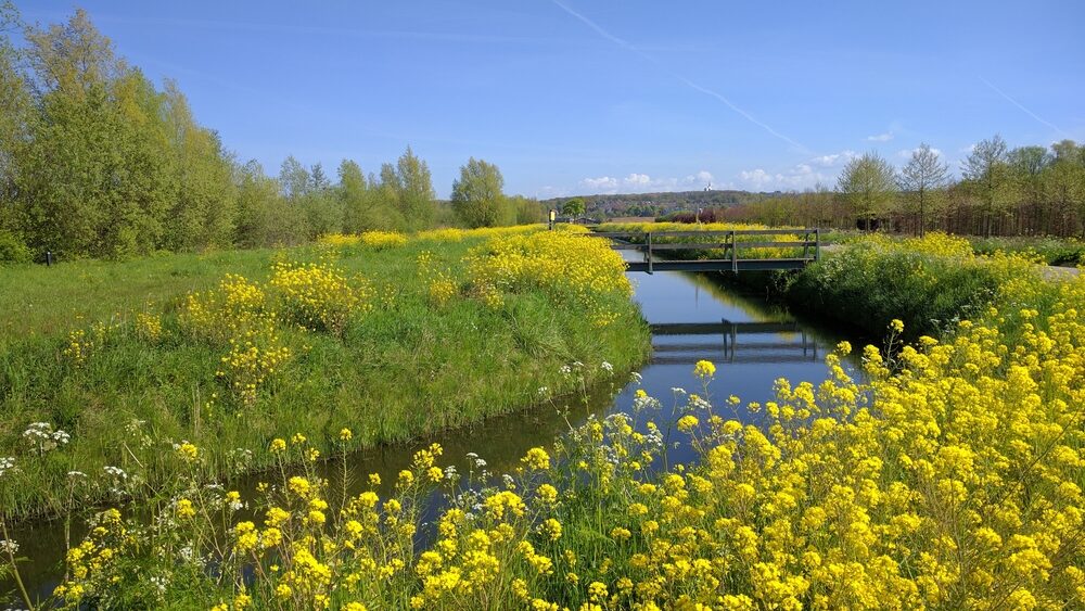 utrechtse heuvelrug