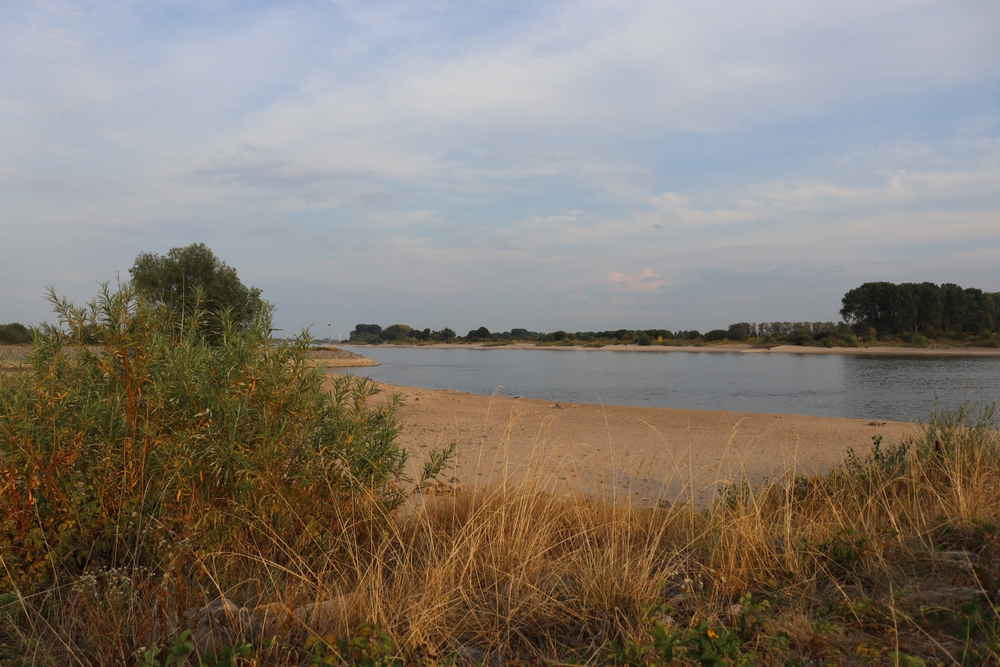 The,rhine,at,lobith,,the,netherlands.