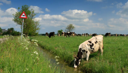 duurzaam waterbeheer