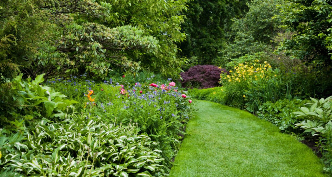 watervriendelijke tuin