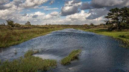 Biodiversiteit Klimaatverandering