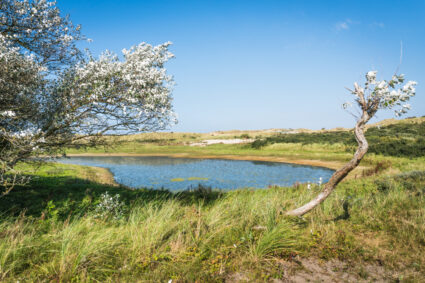 natuurinclusieve inrichting nederland drinkwater