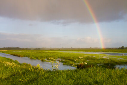 Landscape,onnerpolder,,zuidlaardermeer,in,the,netherlands.,rainbow,over,the,green