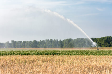 kernteam droogte achterhoek