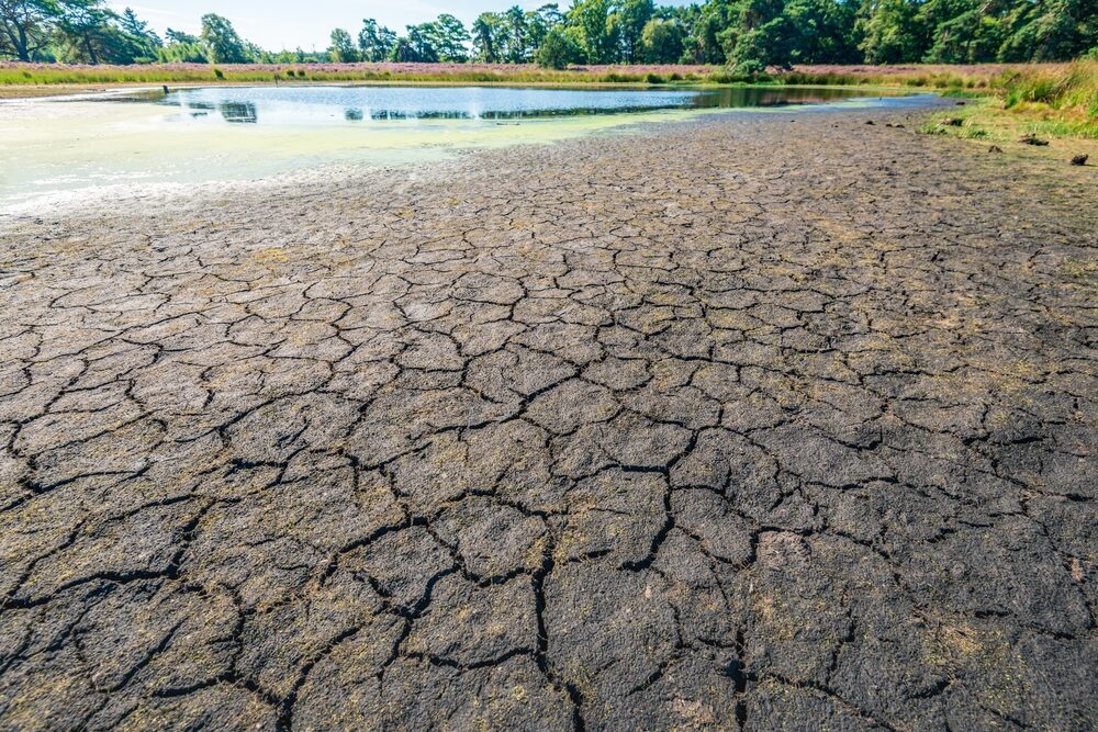Watersysteem in Nederland onder druk